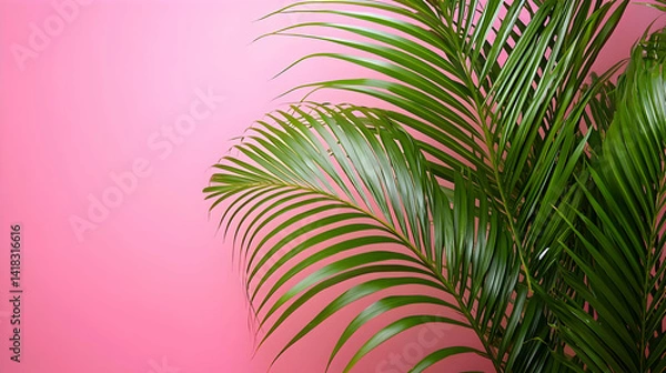 Fototapeta Tropical Palm Leaves Against Pink Background