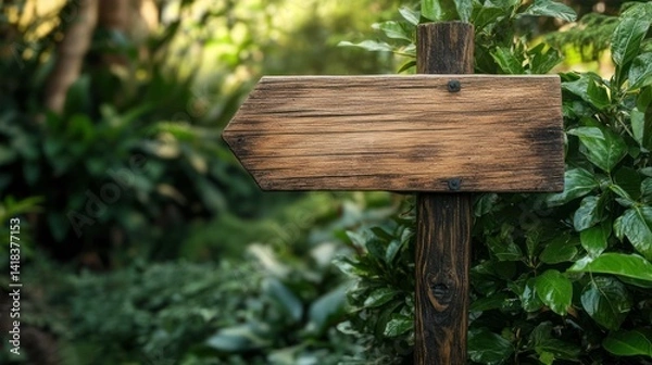 Fototapeta A weathered wooden signpost points the way in a lush, green, nature setting.