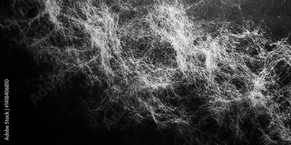 Obraz Abstract Black And White Spatter Pattern