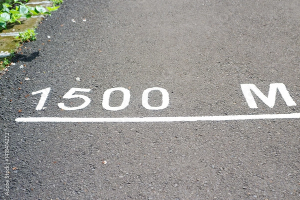 Obraz pedestrian crossing sign