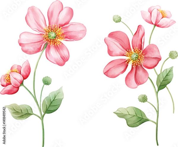 Fototapeta A gentle watercolor flower in soft pink with a yellow center, paired with light green leaves. Elegant and romantic, suitable for wedding invitations, seasonal designs, and feminine themes.