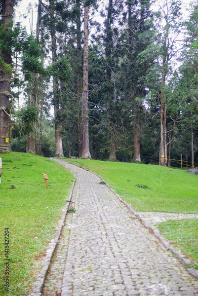 Obraz footpath in the park
