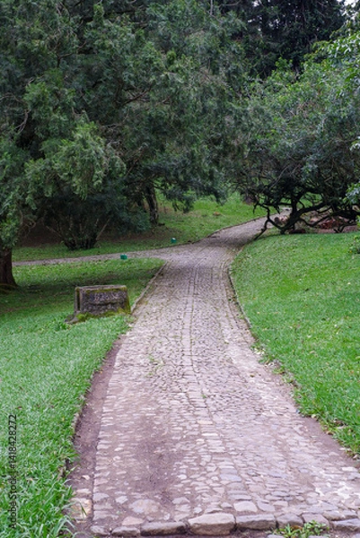 Obraz path in the park