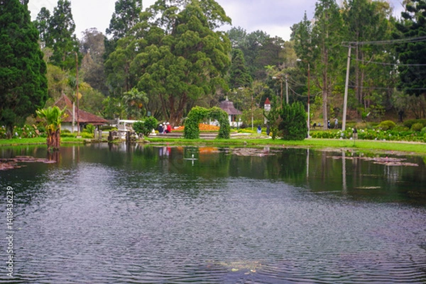 Obraz quiet pond with lotus