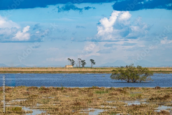 Fototapeta Abandoned farmhouse stands isolated in Doñana wetlands of Spain