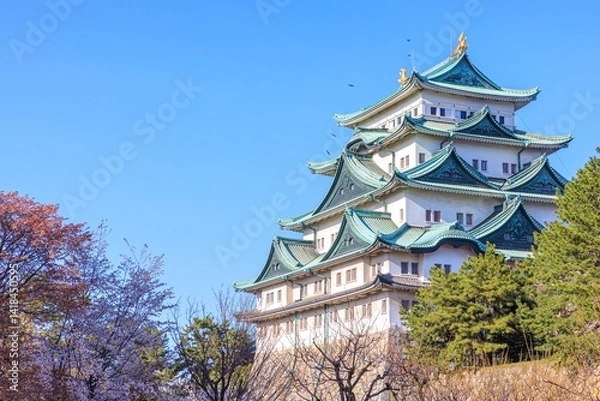 Fototapeta 青空と桜に映える名古屋城