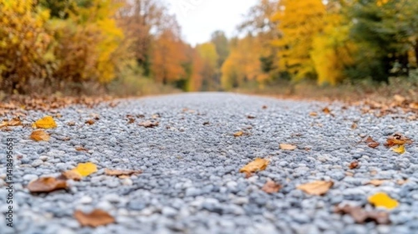 Obraz Autumnal gravel path through vibrant fall foliage.  A pathway lined with small stones and scattered autumn leaves, leading into a colorful forest. 