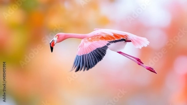 Obraz A flamingo gracefully flying with wings spread wide, vibrant pink feathers against a soft blurred background, and capturing the essence of natures beauty.