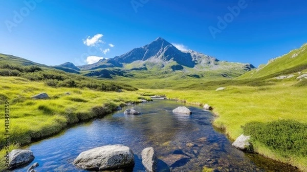 Obraz Mountain stream valley, sunny day