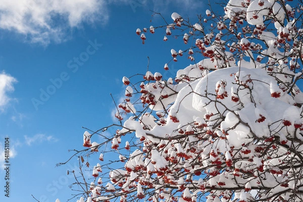 Obraz Paysage poudreuse