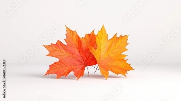 Fototapeta Vibrant autumn leaves against a plain background.  Detailed autumnal foliage, orange and red hues, close-up view, studio shot
