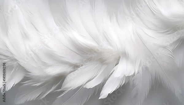 Fototapeta White feathers, down feathers, background, chicken, bird feathers 