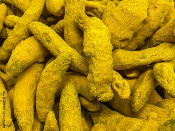 Obraz Yellow turmeric roots, The dried turmeric root is a bright yellow-orange color and irregular in shape. Its texture is coarse and slightly powdery. Turmeric Finger