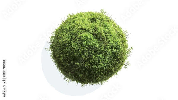 Fototapeta High-angle, close-up studio shot of a spherical moss ball against a stark white background. The moss exhibits a textured surface with varying shades of green, suggesting depth and density.