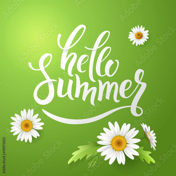 Fototapeta Hello Summer handmade lettering and realistic daisy, camomile flowers on green background. Vector illustration card