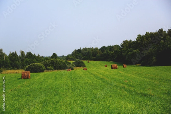 Fototapeta Стога сена в русском поле 
