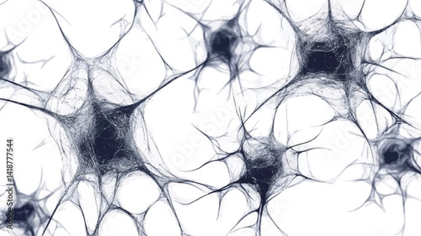 Fototapeta A high-resolution microscopic close-up of a neural network. The image shows many intricately detailed neurons, shown in dark grey tones against a pure white background.