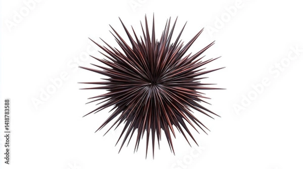 Fototapeta A highly realistic illustration of a sea urchin, centered on a plain white background, designed for use in educational flashcards for children