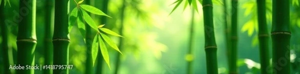 Obraz Lush green bamboo stalks, dappled sunlight filters through leaves , shadow, grove, shade