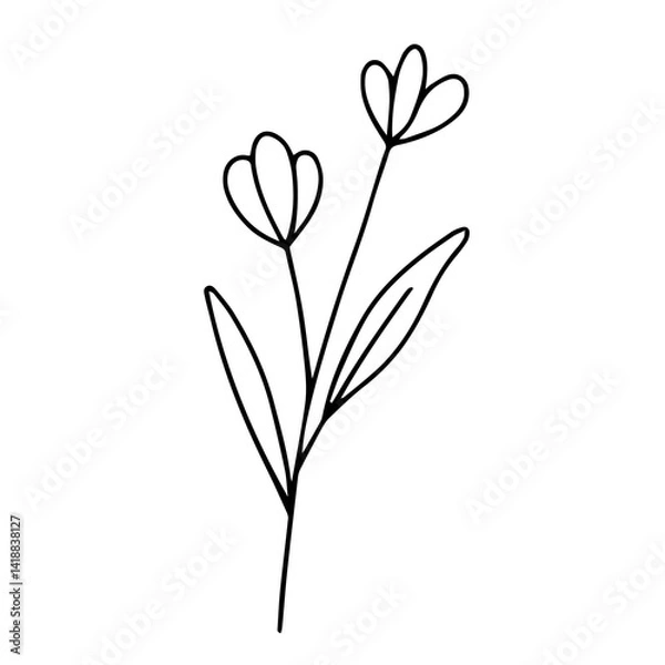 Fototapeta Dried Wildflower Line Art Set – Minimal Botanical Hand-Drawn Elements