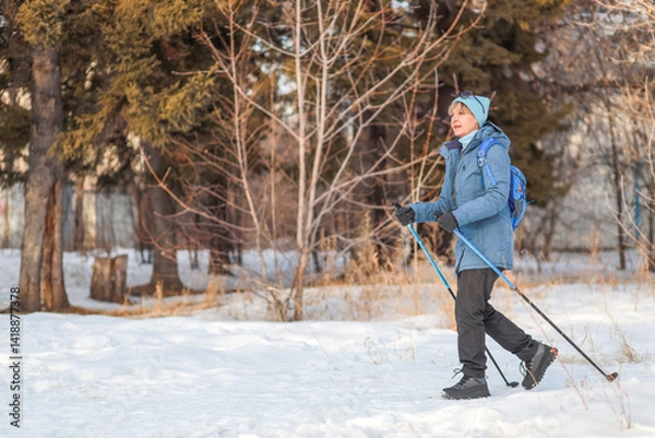 Fototapeta Banner mature woman walking in winter park with Nordic walking poles enjoying fresh air and active lifestyle with space for text. health concept, fitness club, winter sports.