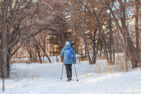 Fototapeta pensioner in winter park with Nordic walking poles enjoying walk and benefits of physical activity in fresh air. health concept, fitness clubs, winter entertainment.
