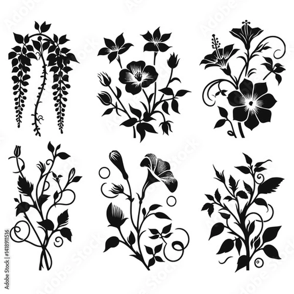 Obraz Silhouette vector logo set of climbing and vining flowers including wisteria, clematis, morning glory, honeysuckle, and trumpet vine in black on white background, elegant vector icon style