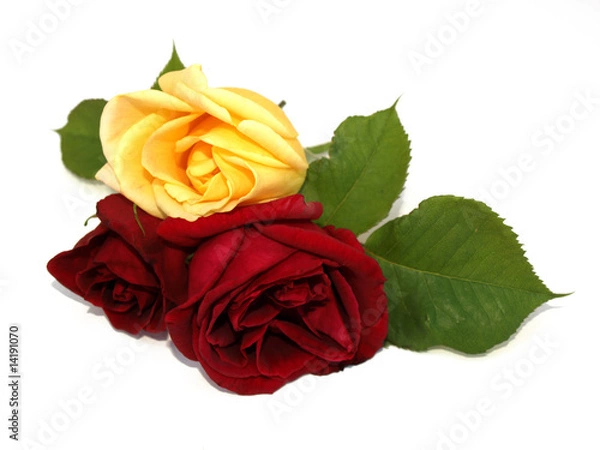 Obraz bouquet de roses