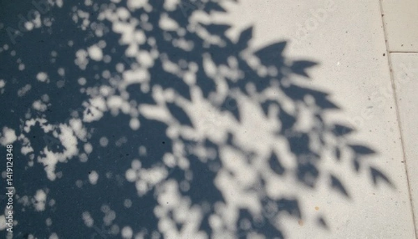 Fototapeta Nature's shadow play leaf patterns cast on concrete urban environment close-up view artistic concept
