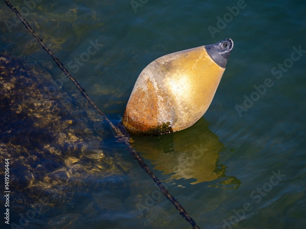 Obraz Buoy floating in clear green water, attached to a rope.