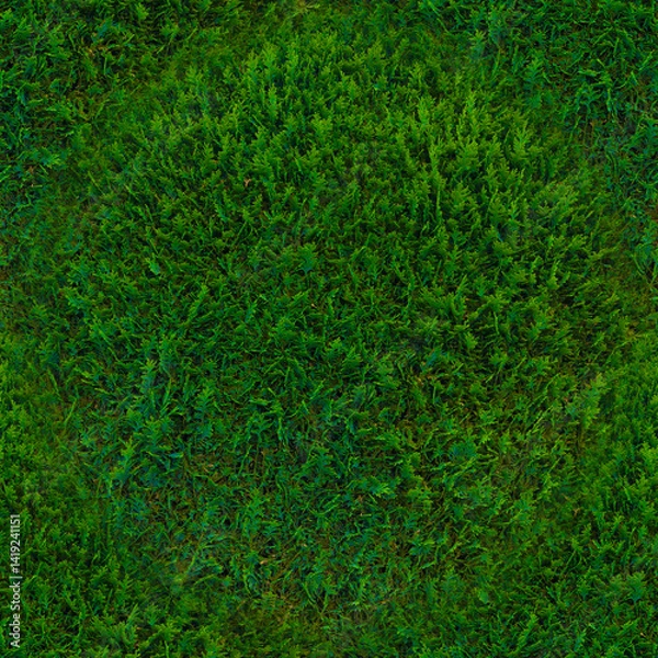 Fototapeta The green texture of the grass. Bright, green grass in close-up. Green background.Seamless image.