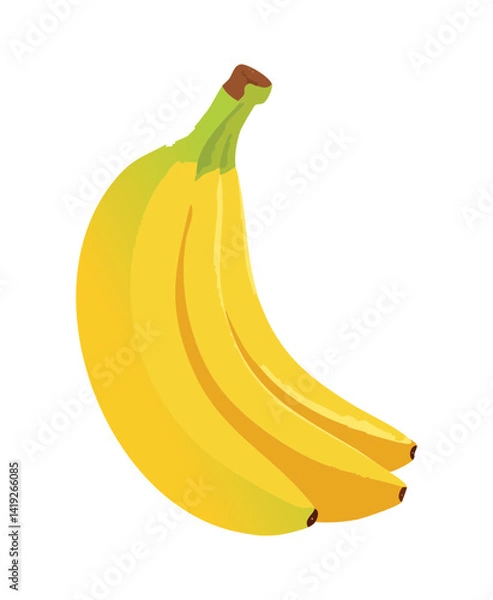 Obraz Vector Illustration Yellow Banana Fruit