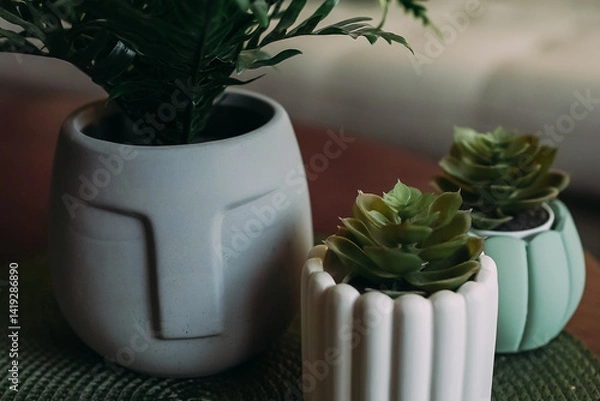 Fototapeta A pot in the form of a statue from Easter Island. Pots of unusual shape with succulents. Pots of flowers on the coffee table in the living room