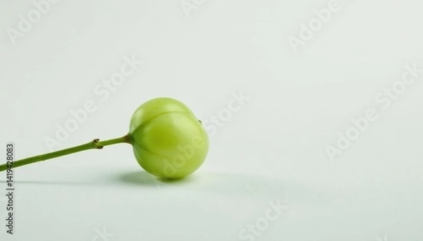 Fototapeta Single, delicate sapling against pure white backdrop, minimalist, branch, studio shot