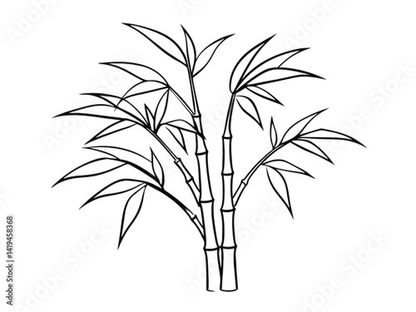 Fototapeta Green bamboo leaves and branches, a vector illustration of a tropical plant, are isolated on a fresh white background