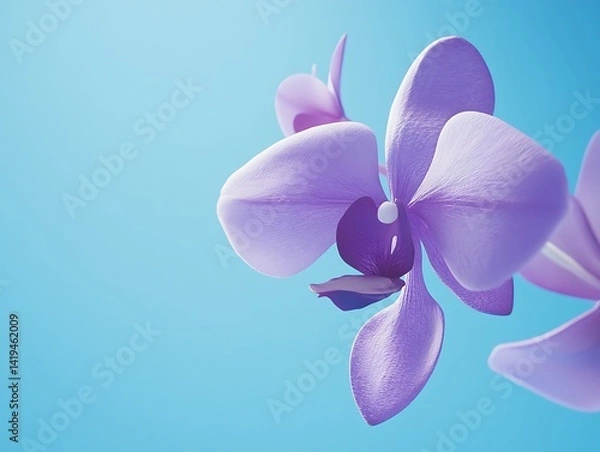 Obraz Delicate purple orchid against a light blue background.  Possible use  nature, beauty, and design