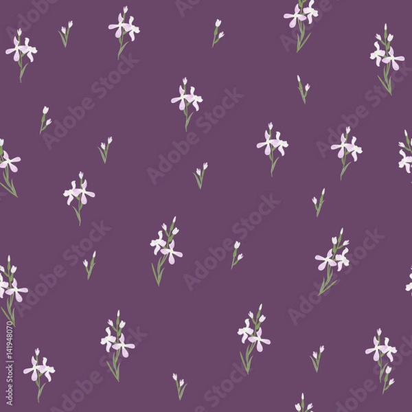 Fototapeta Seamless pattern with flowers Matthiola or evening primrose. 