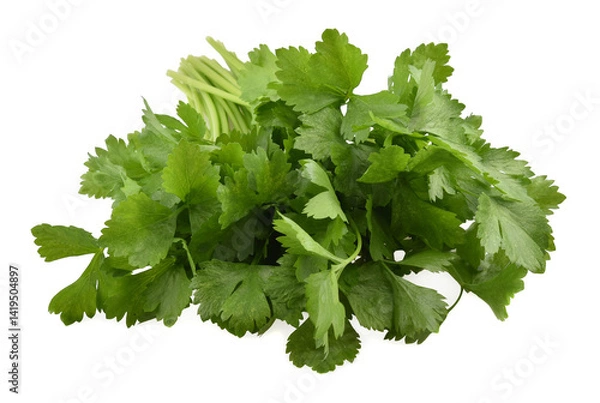 Fototapeta Celery isolated on white background