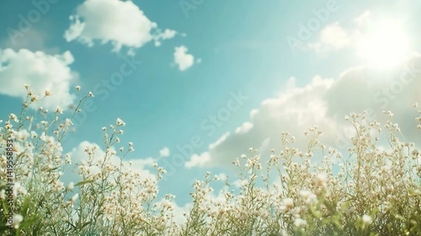 Fototapeta Serene white flowers under a bright sunny sky soft natural light peaceful summer scene