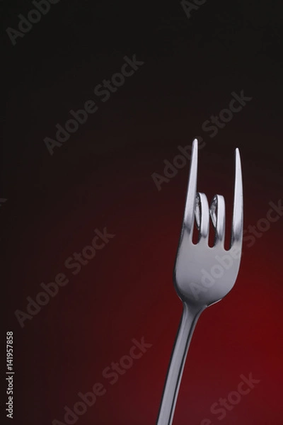 Obraz fork