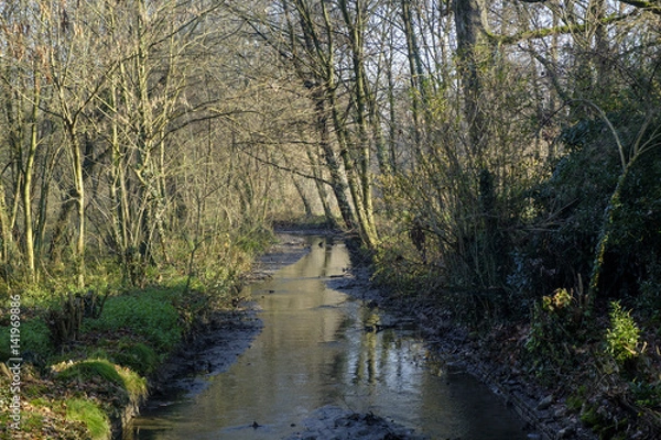 Obraz Monza park at december