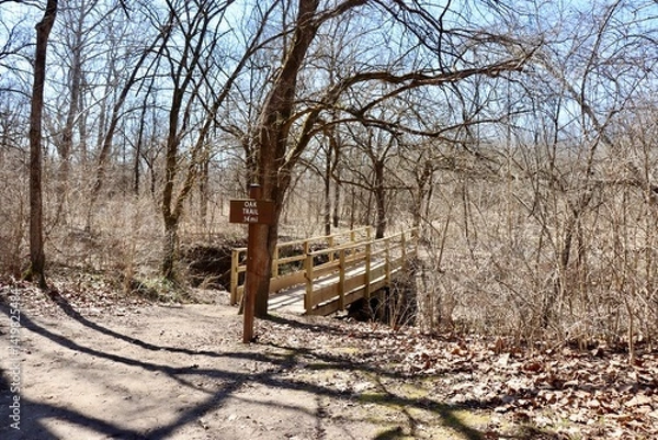Obraz The old wood bridge in the forest on a sunny winter day.
