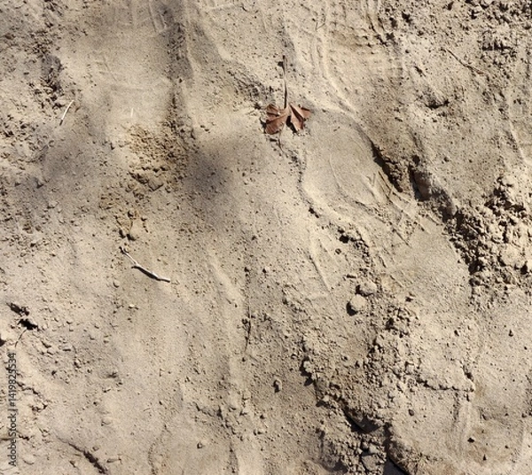 Obraz A close view of the sandy soil ground surface.