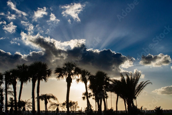 Obraz Sunsets Over Beaches, Palm Trees and Oceans