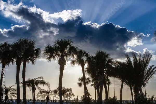 Obraz Sunsets Over Beaches, Palm Trees and Oceans