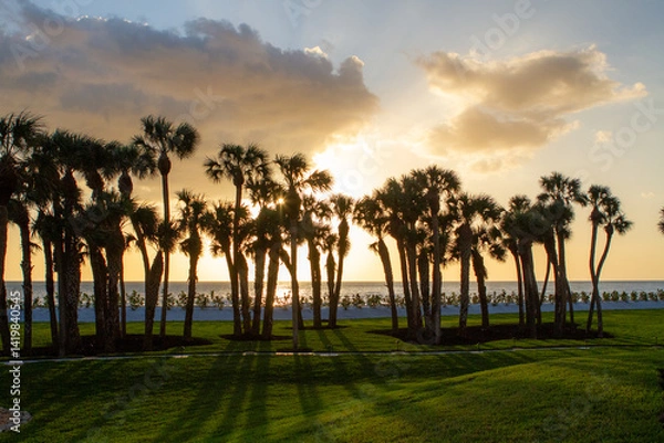 Obraz Sunsets Over Beaches, Palm Trees and Oceans