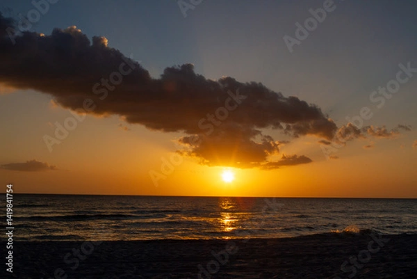Obraz Sunsets Over Beaches, Palm Trees and Oceans