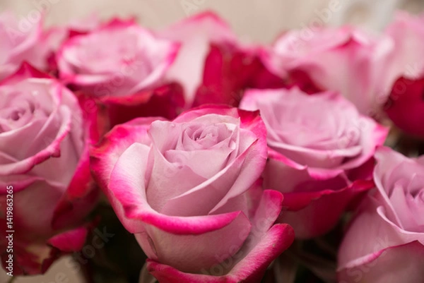 Fototapeta large bouquet of fresh red roses in a vase