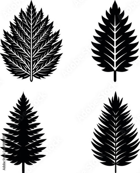 Fototapeta pine-leaf-vector-silhouette illustration