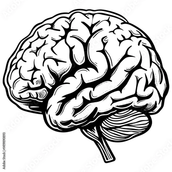 Fototapeta Brain side view hand draw outline illustration SVG. vector.